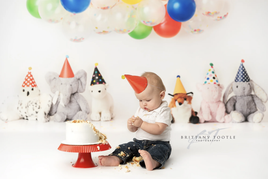 Party Animal Cake Smash Backdrop Utah Cake Smash Photographer